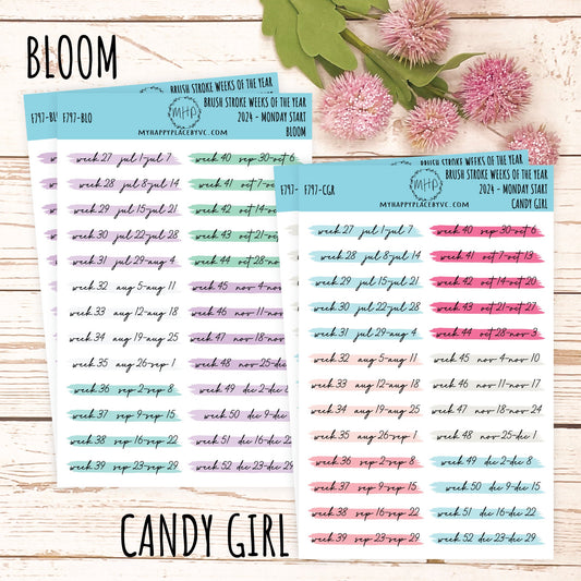 MONTHS Over Brush Stroke. Planner Stickers. || F797