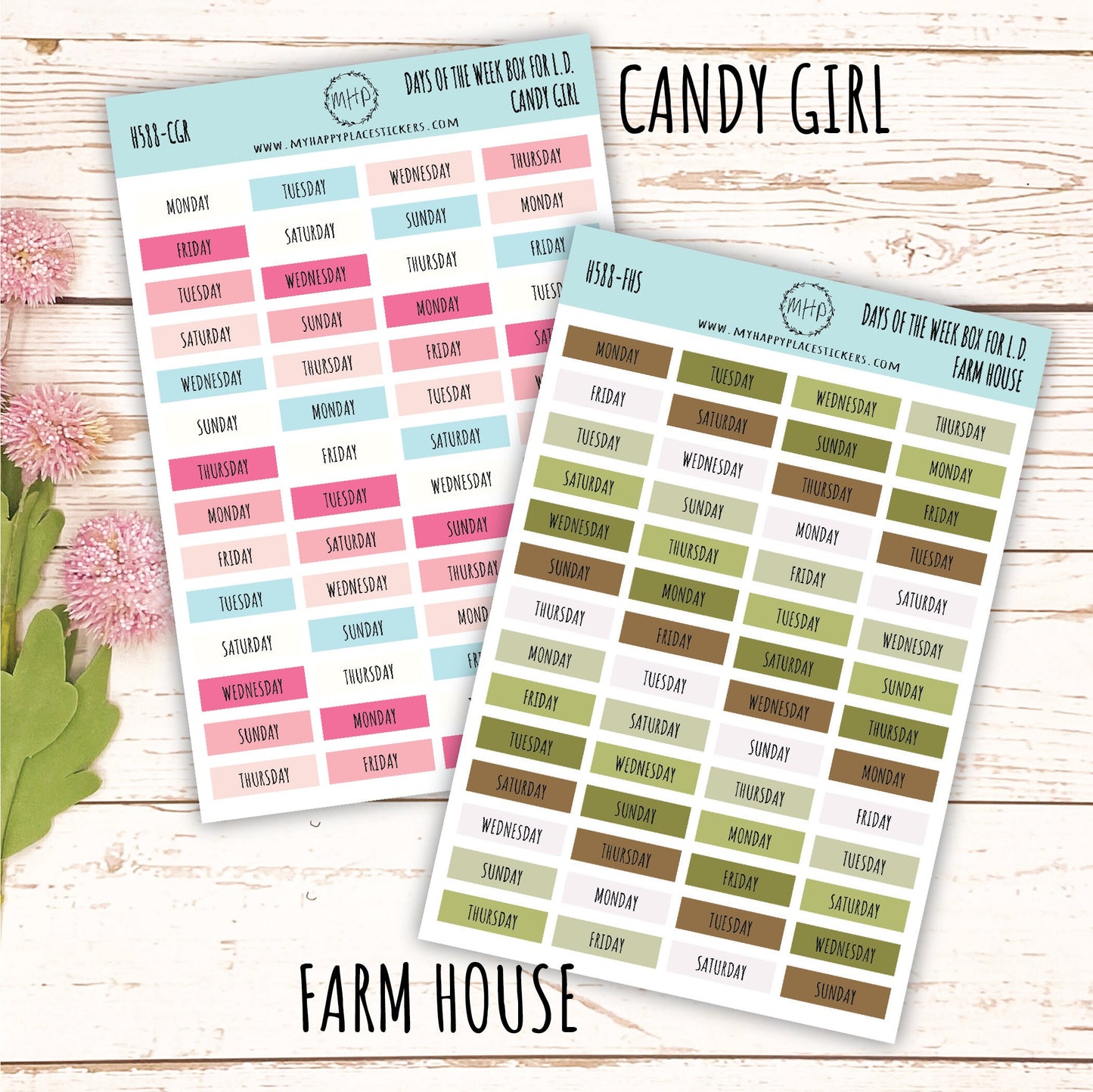 Days of the Week Color Box. Planner Stickers || H588