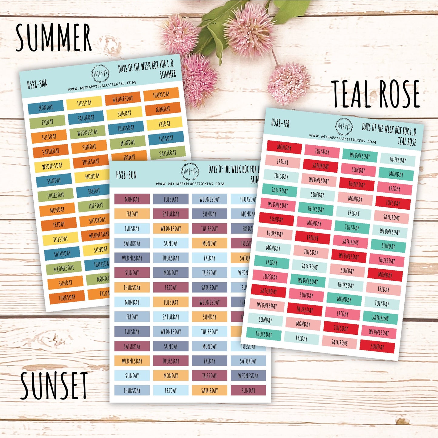 Days of the Week Color Box. Planner Stickers || H588