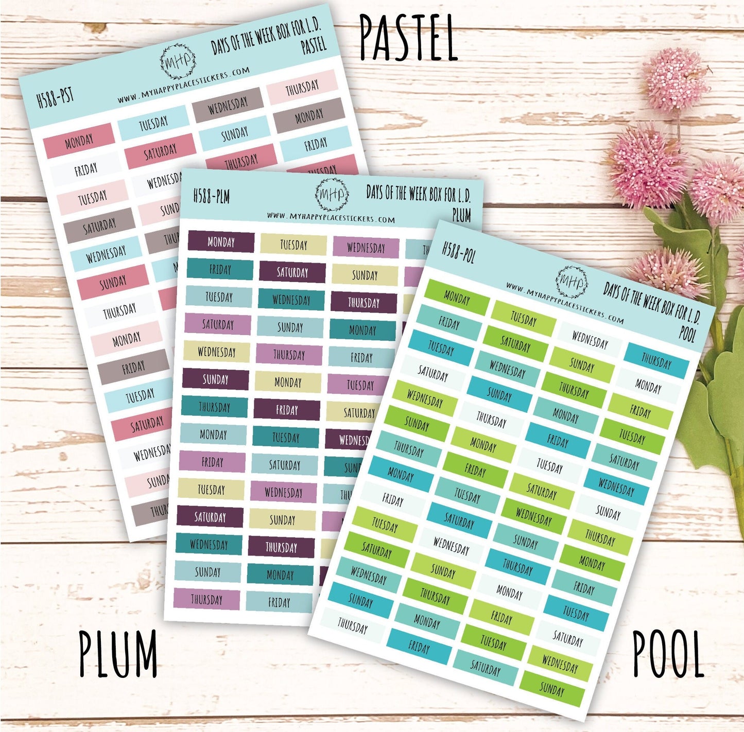 Days of the Week Color Box. Planner Stickers || H588