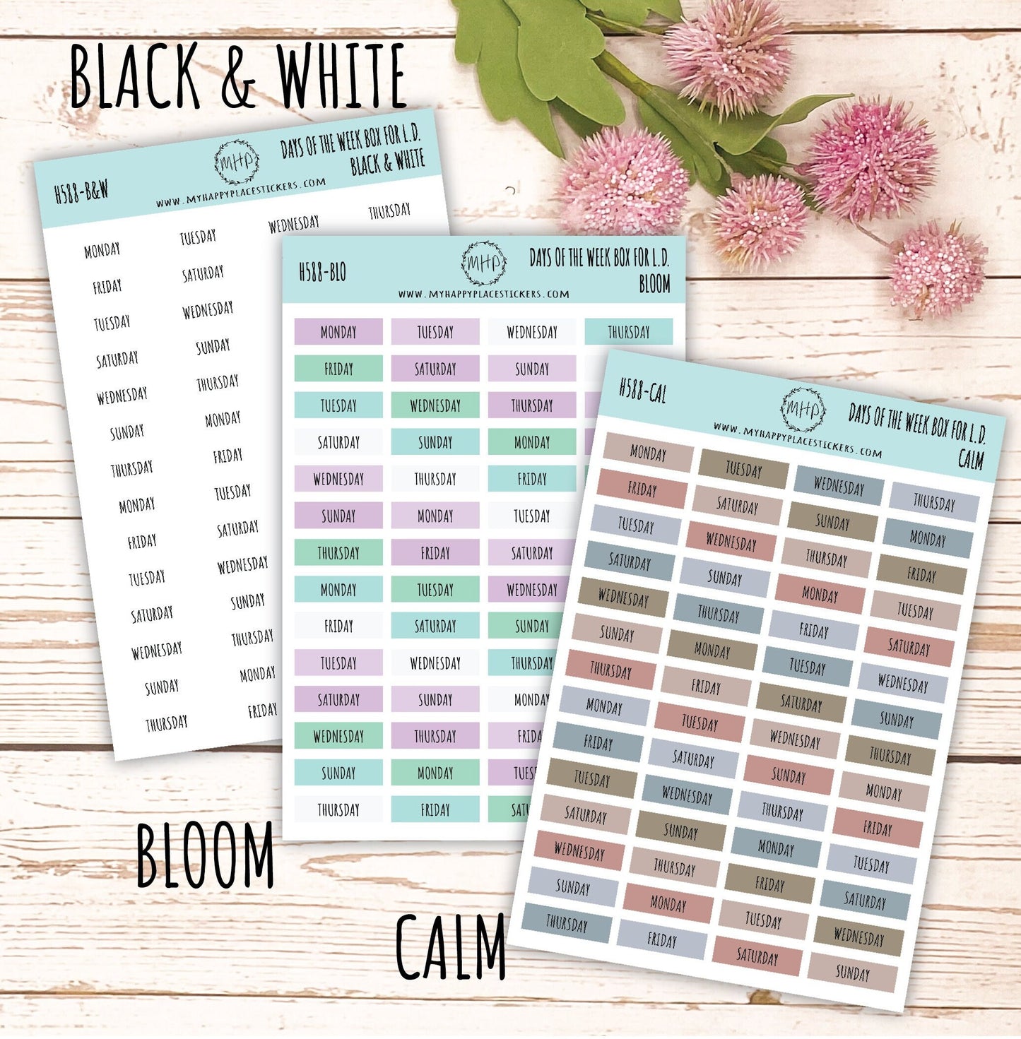 Days of the Week Color Box. Planner Stickers || H588