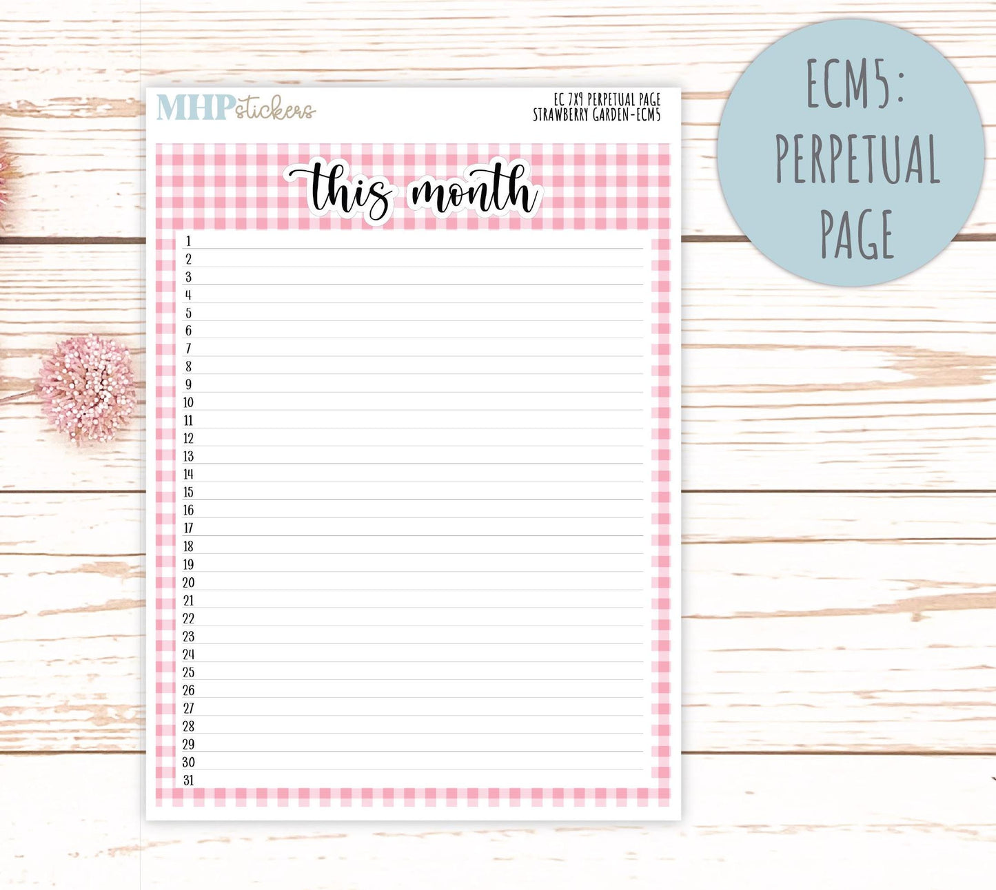 MONTHLY Kit Stickers for 7x9 Erin Condren Planners. 2025 Collection "Strawberry Garden" || ECMSG
