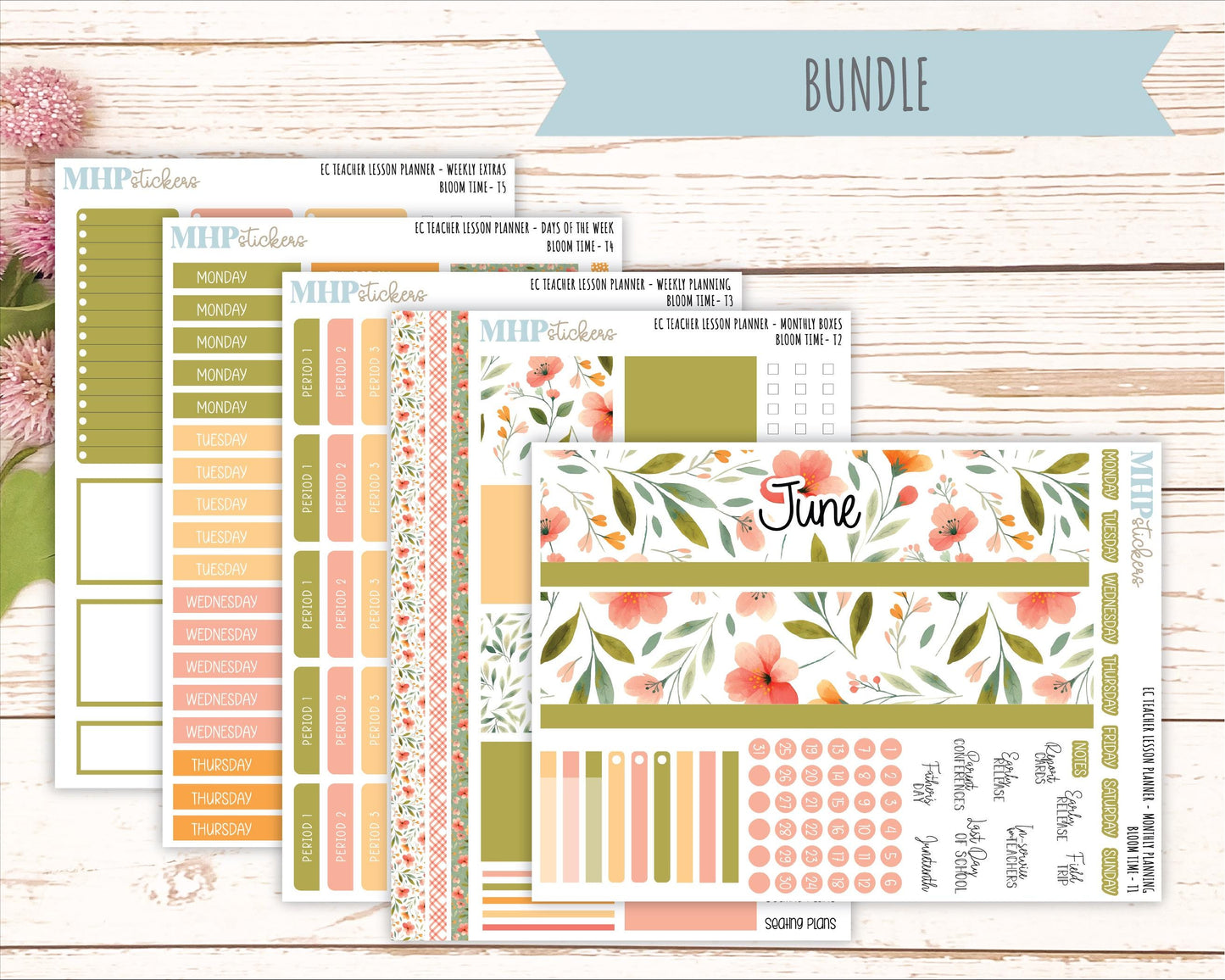 JUNE Stickers for EC Teacher Lesson Planner. 2025 Collection "Bloom Time" || ECT