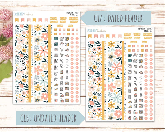 JUNE 2026 Stickers for The Carmen Laurel Denise Planner "Wander" || C