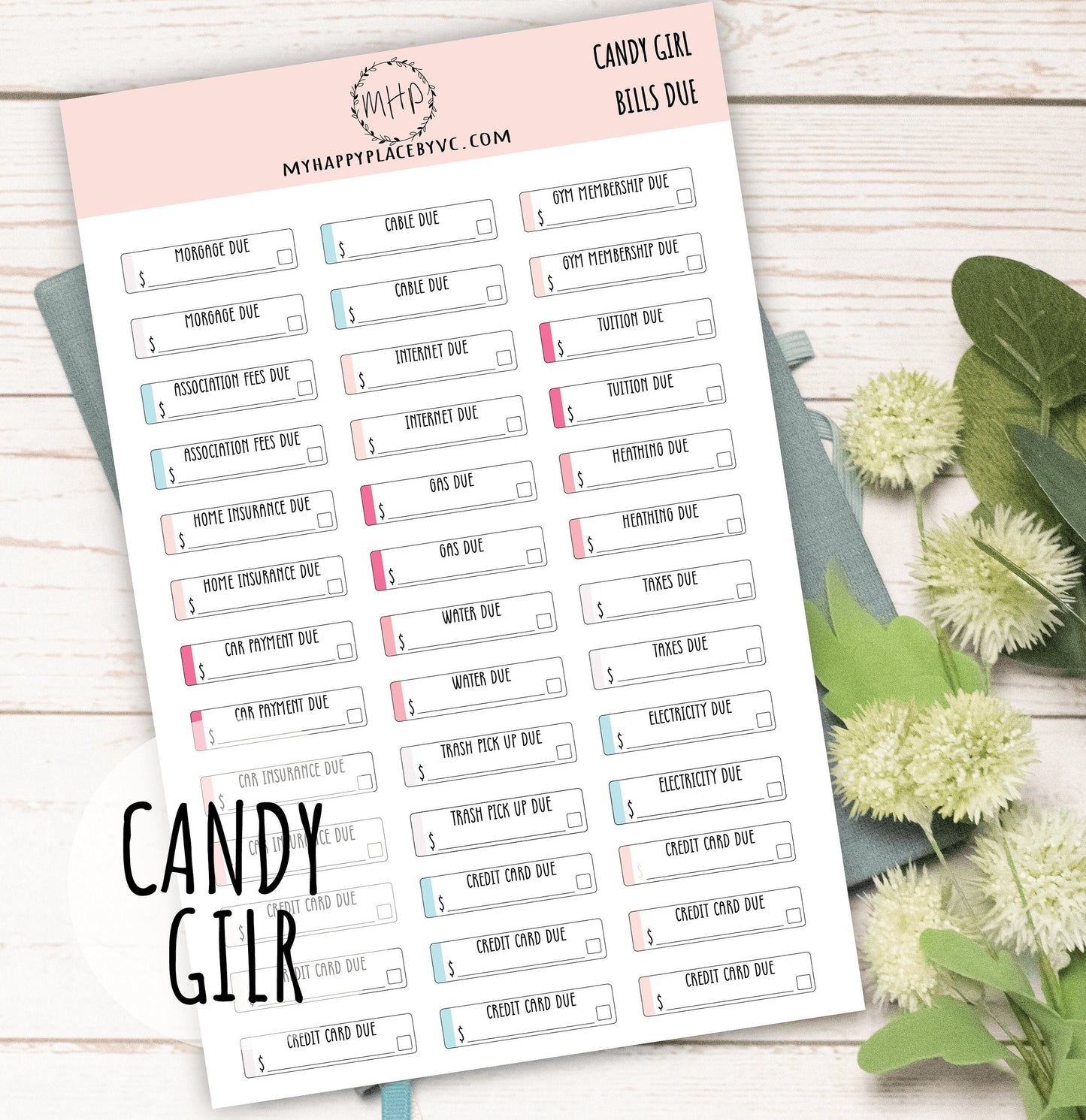 Bills Due Planner Stickers College Planner, Bullet Journals, Teacher Planners, and Homeschool Planner || F704