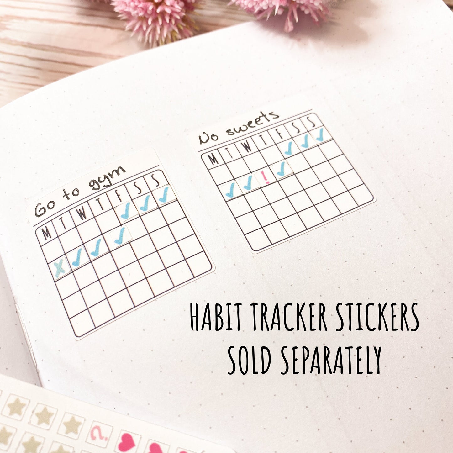 Habit Tracker Calendar Stickers || F735