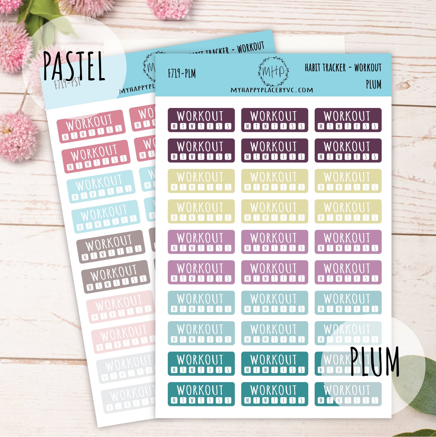 Habit Tracker Workout Planner Stickers for Bullet Journals, College Planner, Teacher, Homeschool Planner and School Planners || F719