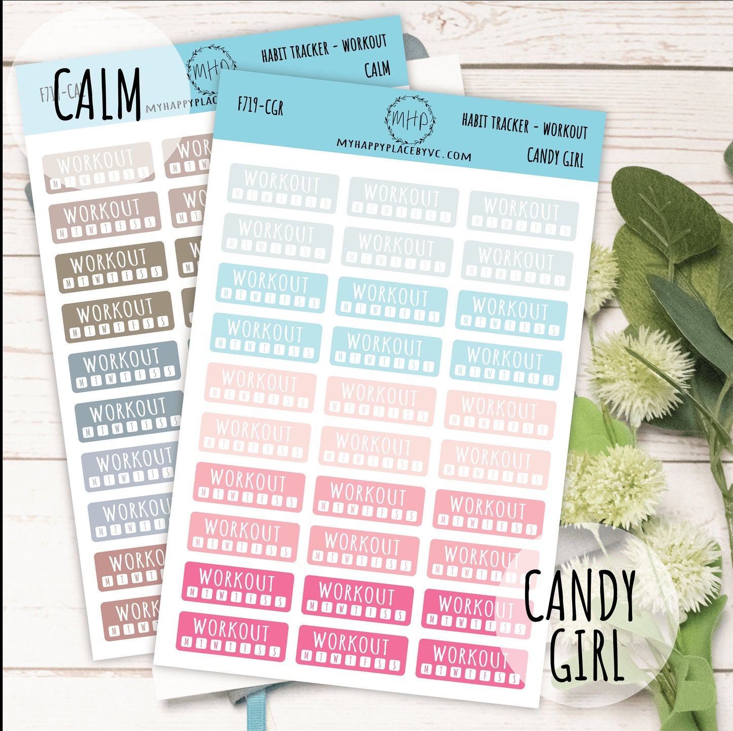 Habit Tracker Workout Planner Stickers for Bullet Journals, College Planner, Teacher, Homeschool Planner and School Planners || F719