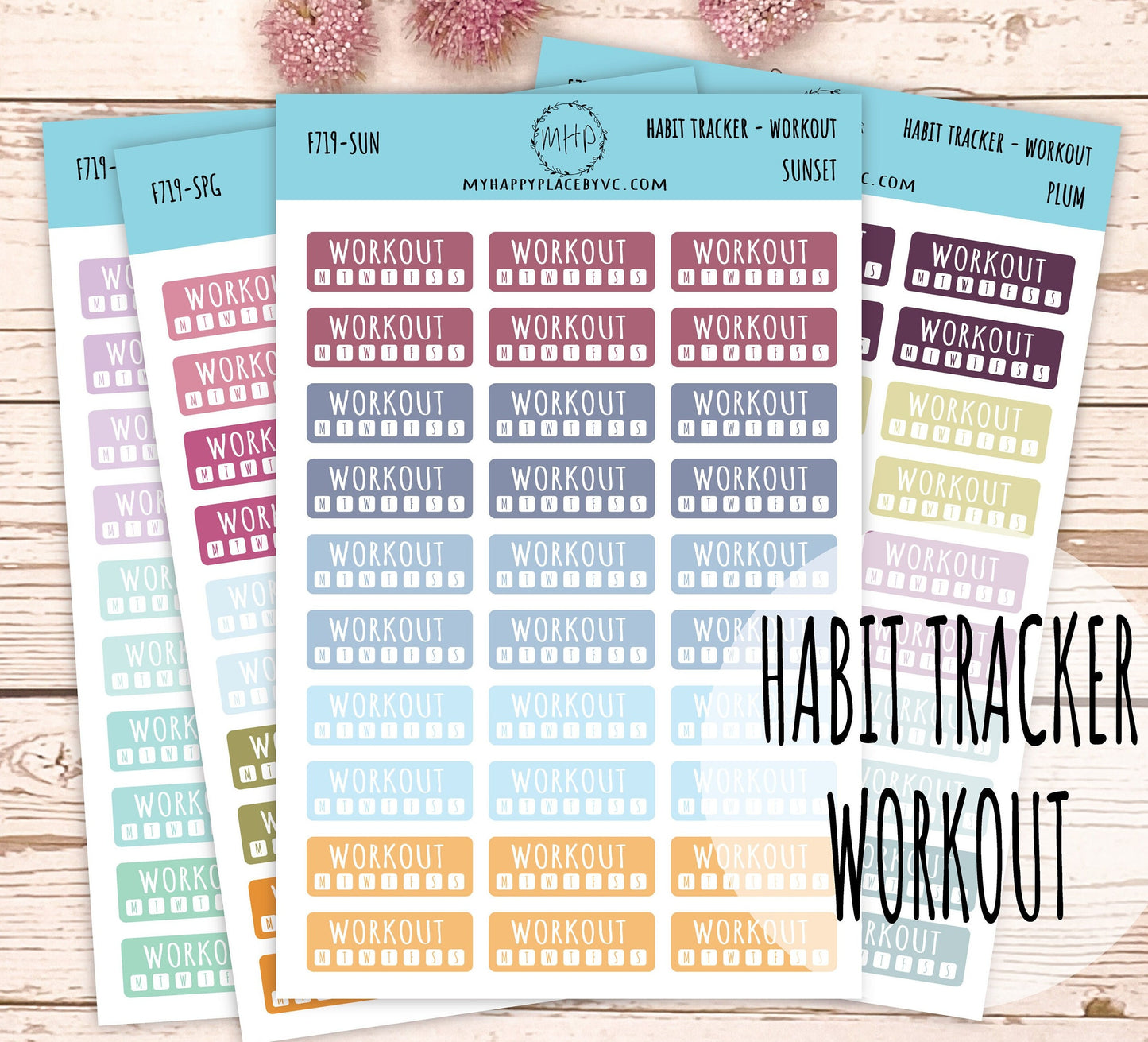 Habit Tracker Workout Planner Stickers for Bullet Journals, College Planner, Teacher, Homeschool Planner and School Planners || F719