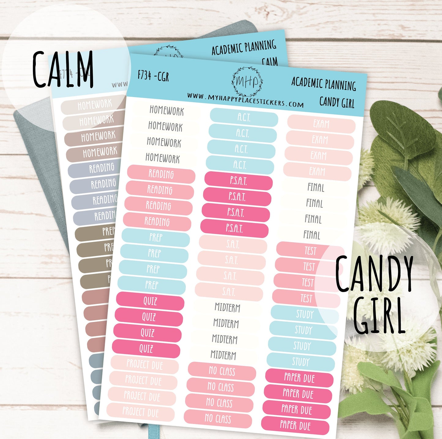 Academic Planning Stickers for College Planners, Teacher Planners, and Bullet Journals. Homeschool Planner. 6 Months Per Sheet || F734