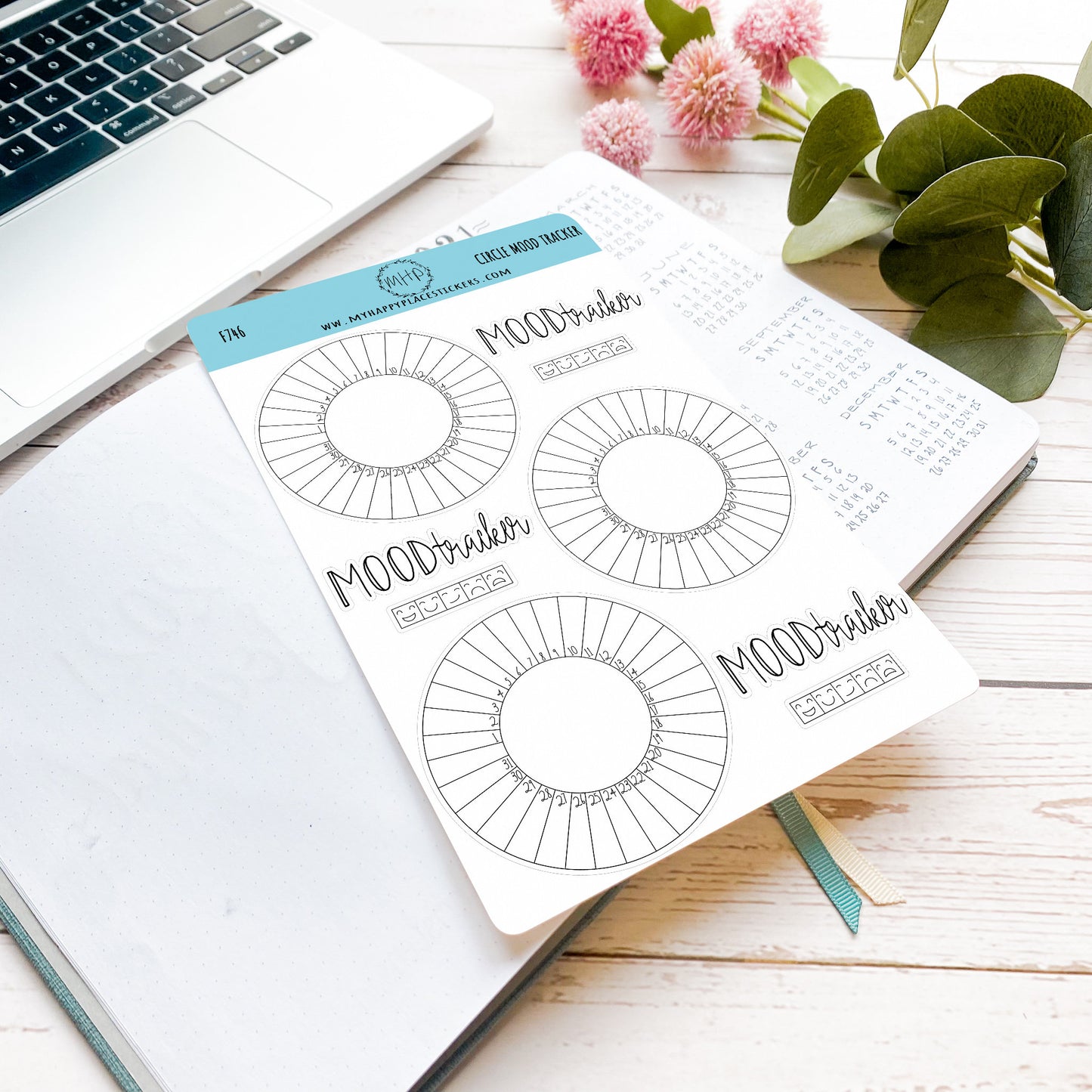 Circle Mood Tracker Stickers for Bullet Journals, and Planners. Monthly Habit Tracker || F746