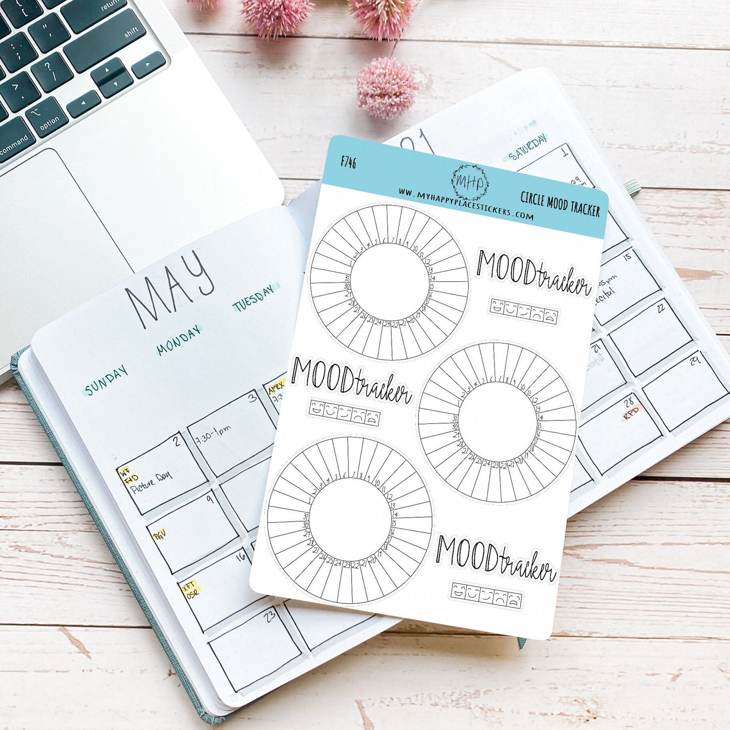 Circle Mood Tracker Stickers for Bullet Journals, and Planners. Monthly Habit Tracker || F746
