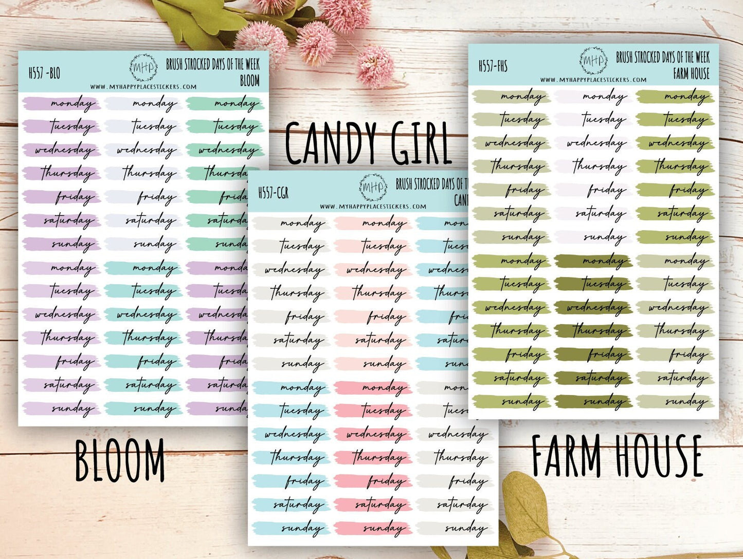 Days of the Week Over Brush Stroke. Planner Stickers || H557