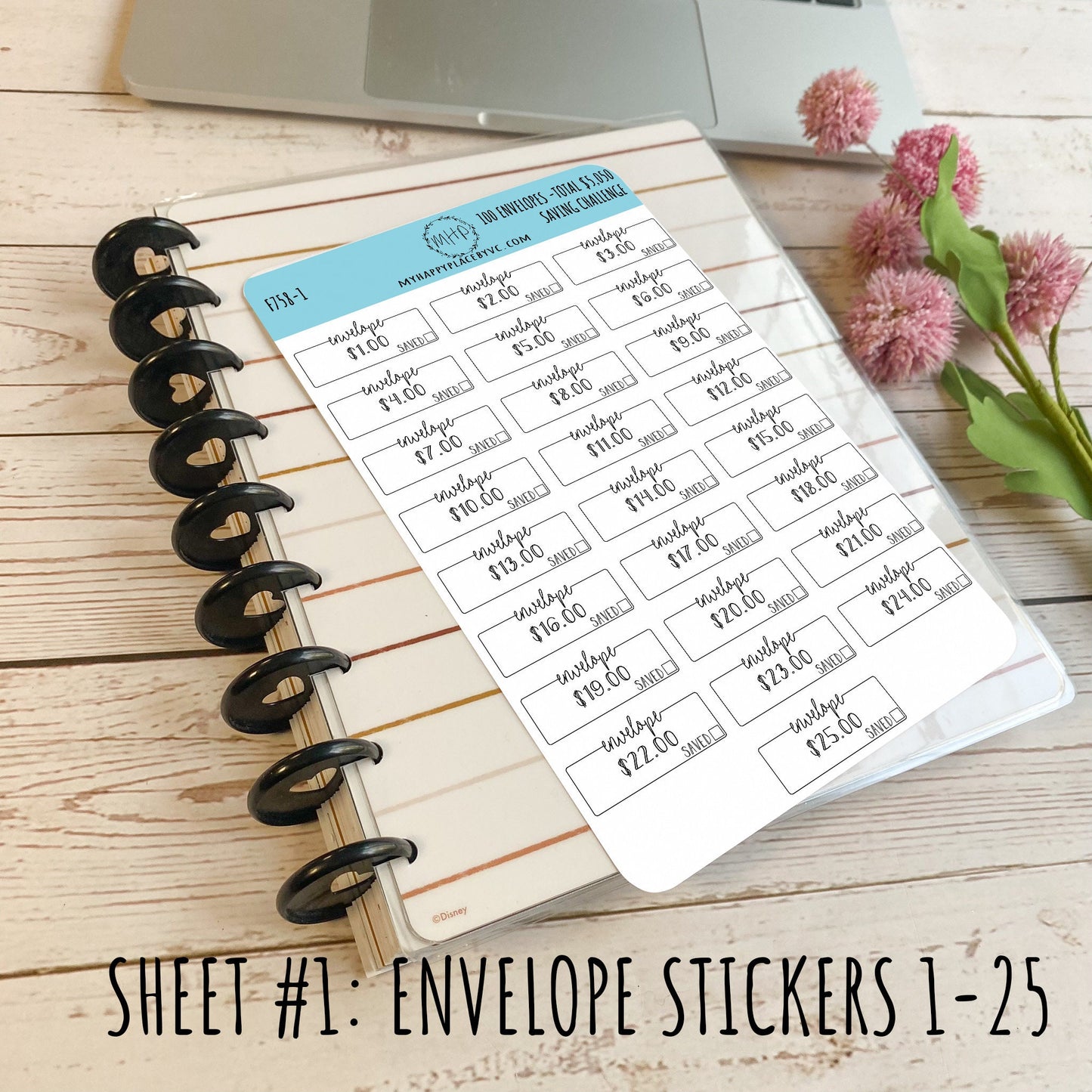 100 Envelope Stickers for Savings Challenge (Total Savings 5,050.00). Stickers for Planners, Saving Envelopes, and Bullet Journals || F758