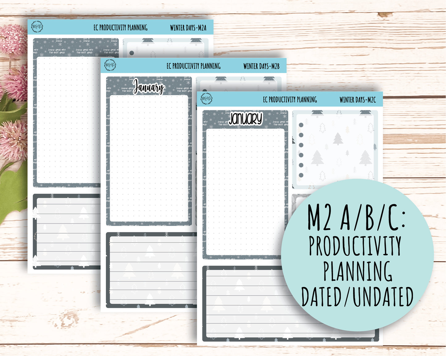 Erin Condren 7x9 Monthly Kit. JANUARY "Winter Days" || WD-M