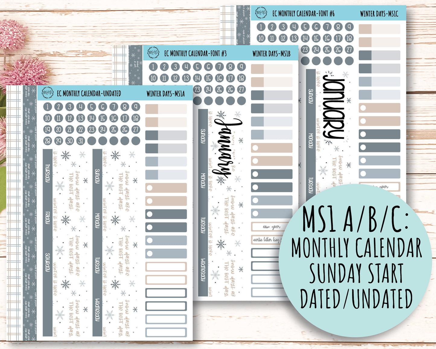 Erin Condren 7x9 Monthly Kit. JANUARY "Winter Days" || WD-M