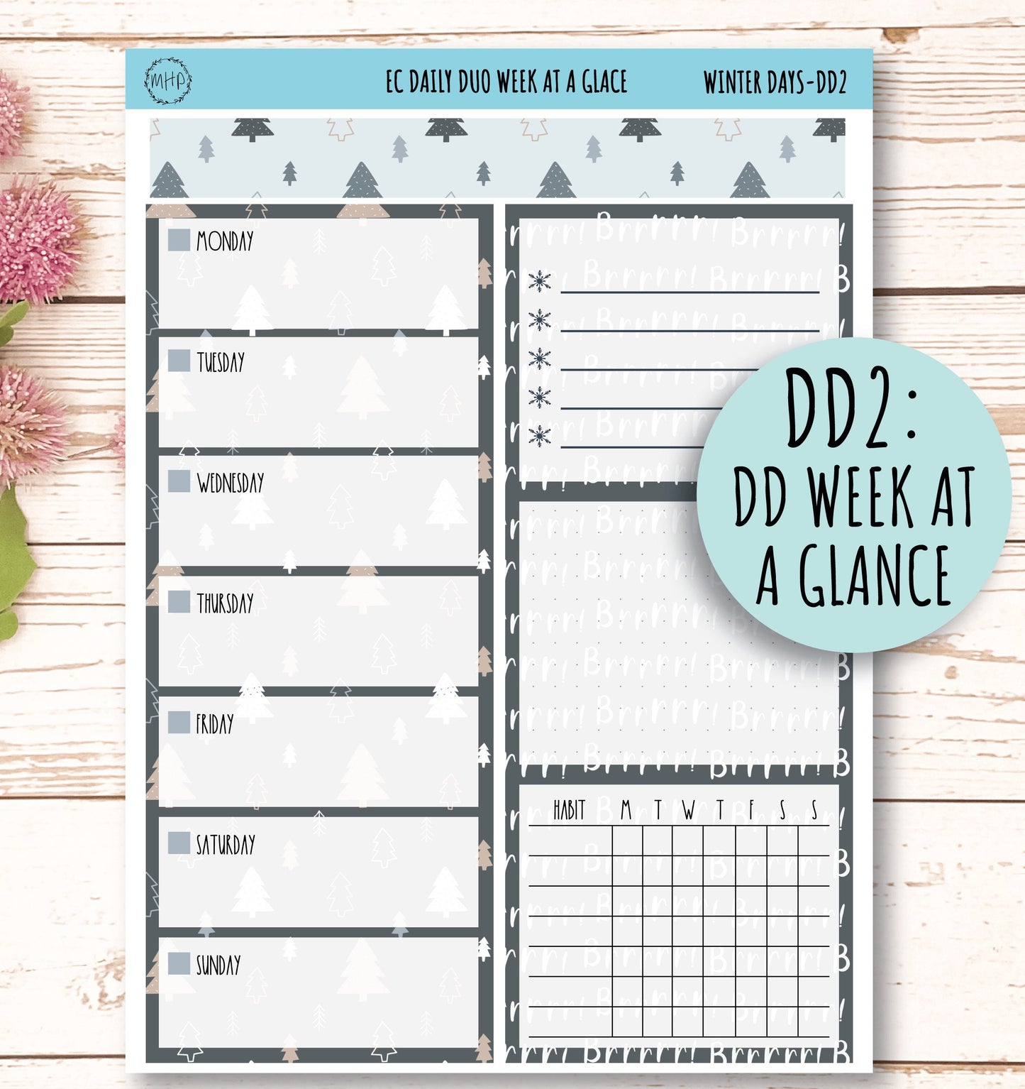 Daily Duo Stickers for 7x9 Erin Condren Planners. JANUARY "Winter Day" || WD-DD