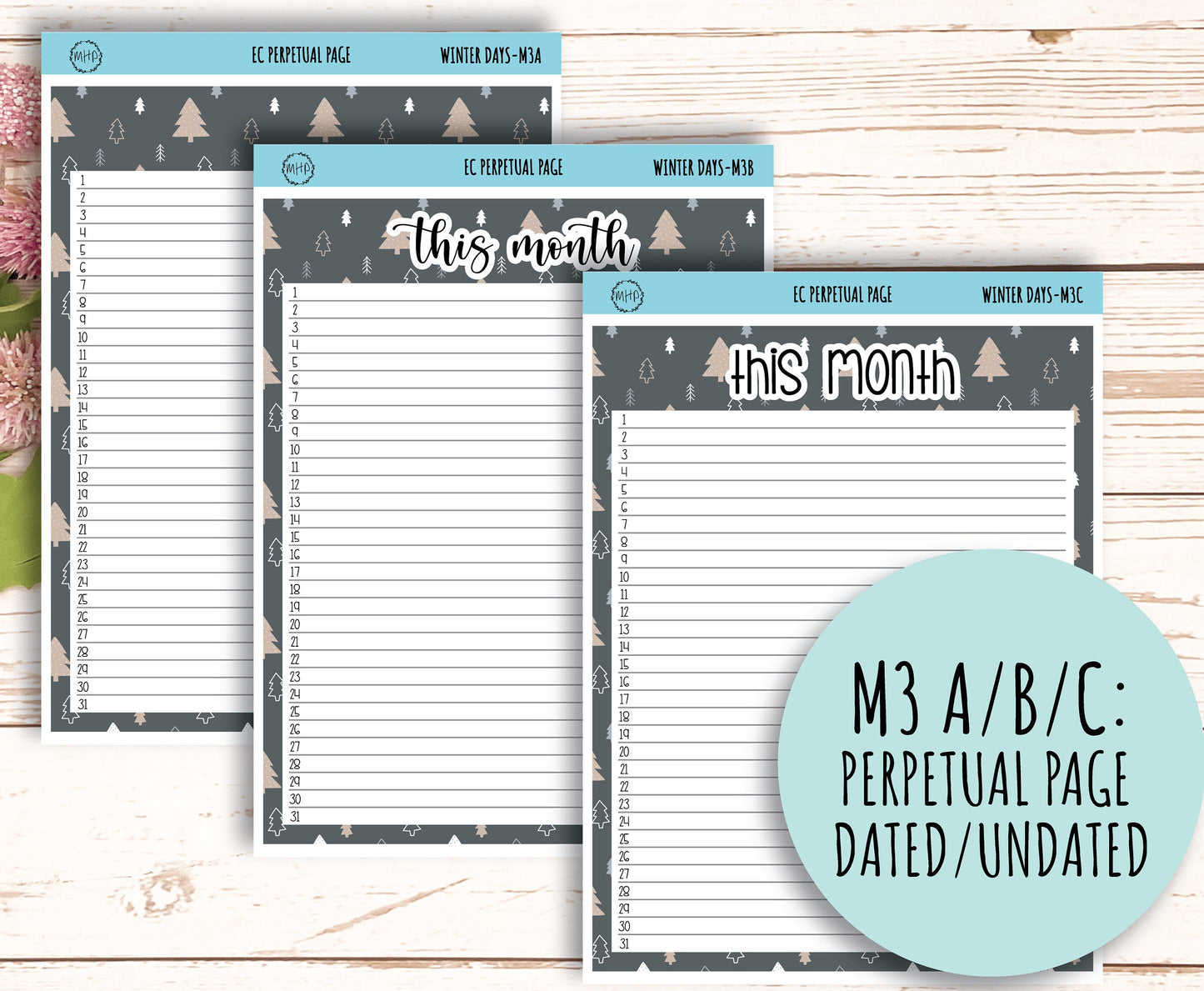 Erin Condren 7x9 Monthly Kit. JANUARY "Winter Days" || WD-M