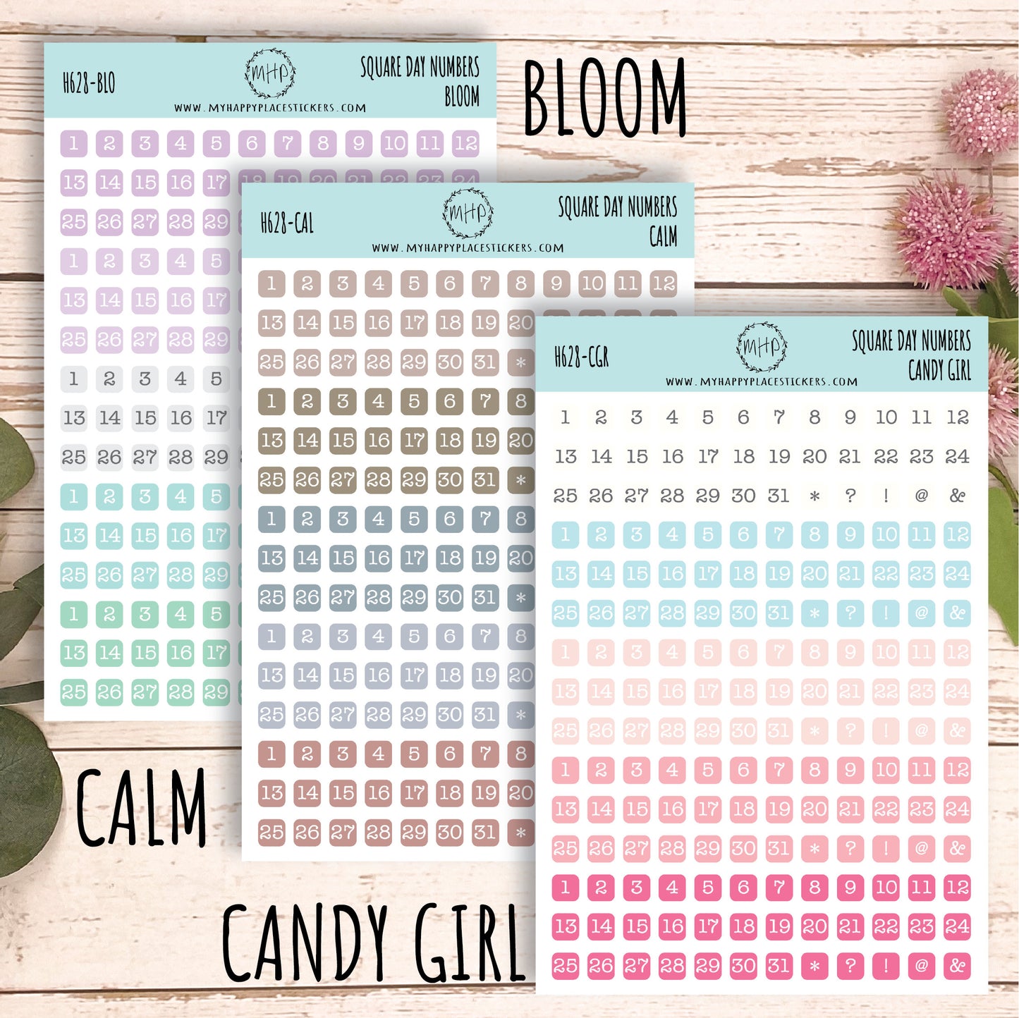Square Day Number Stickers. Planner Stickers || H628