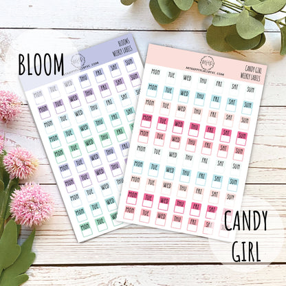 Daily Planner Stickers || H507
