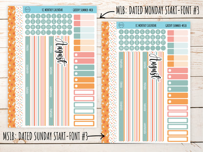 Erin Condren 7x9 Monthly Kit. AUGUST "Groovy Summer" Planner Stickers || GS-M