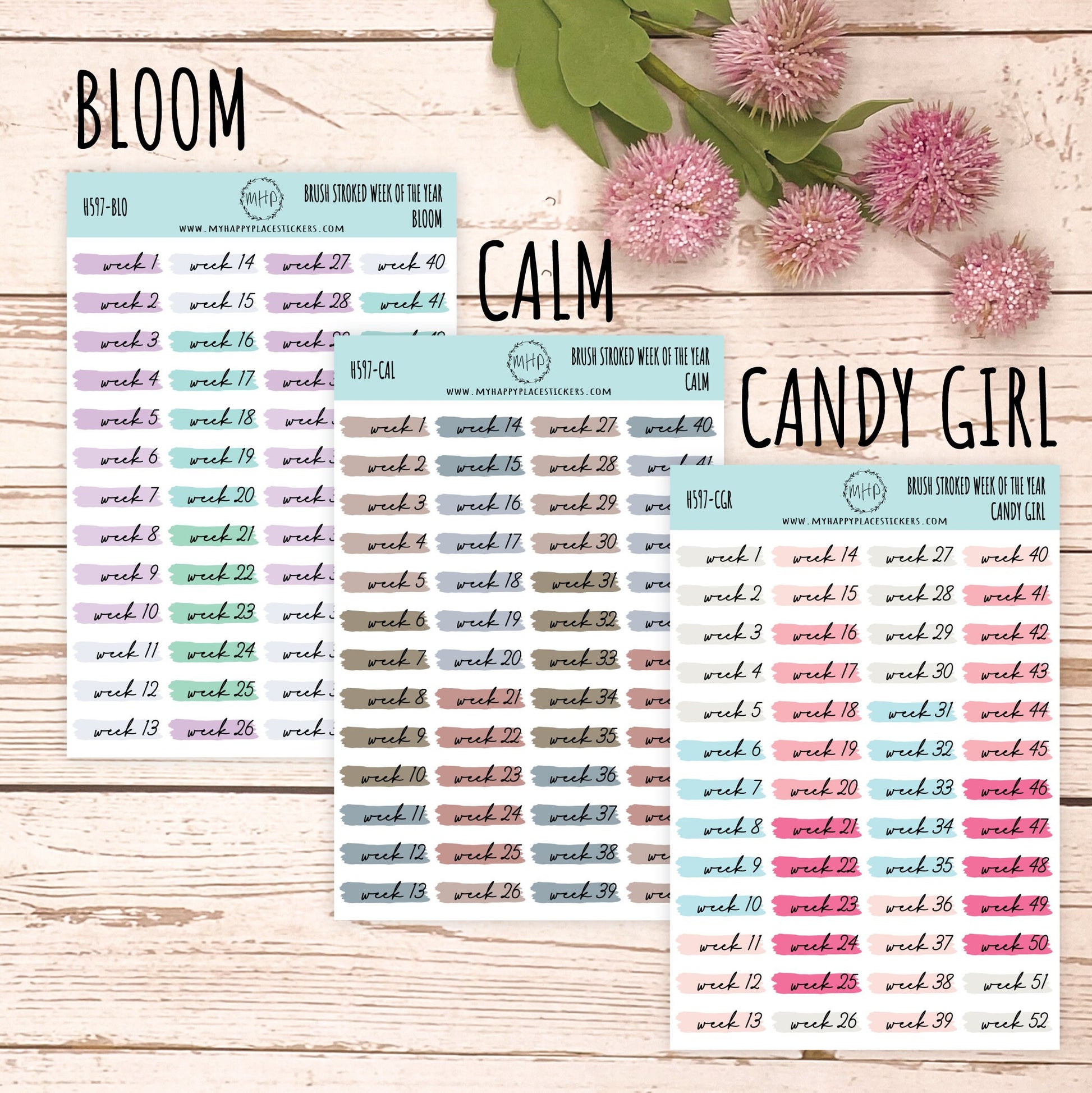 Weeks of the Years Over Brush Stroke. Planner Stickers. || H597