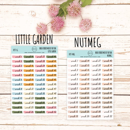 Weeks of the Years Over Brush Stroke. Planner Stickers. || H597