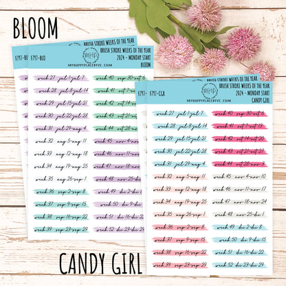 MONTHS Over Brush Stroke. Planner Stickers. || F797