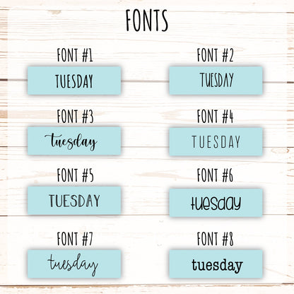 Days of the Week Color Box. Planner Stickers || H588
