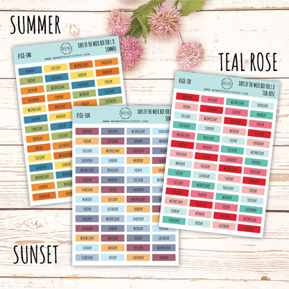 Days of the Week Color Box. Planner Stickers || H588