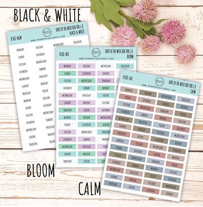 Days of the Week Color Box. Planner Stickers || H588