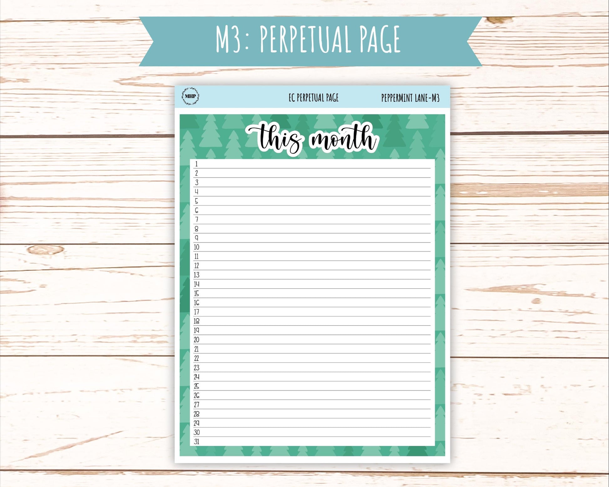 DECEMBER Monthly Kit Stickers for 7x9 Erin Condren Planners. "Peppermint Lane" || ECM-PML