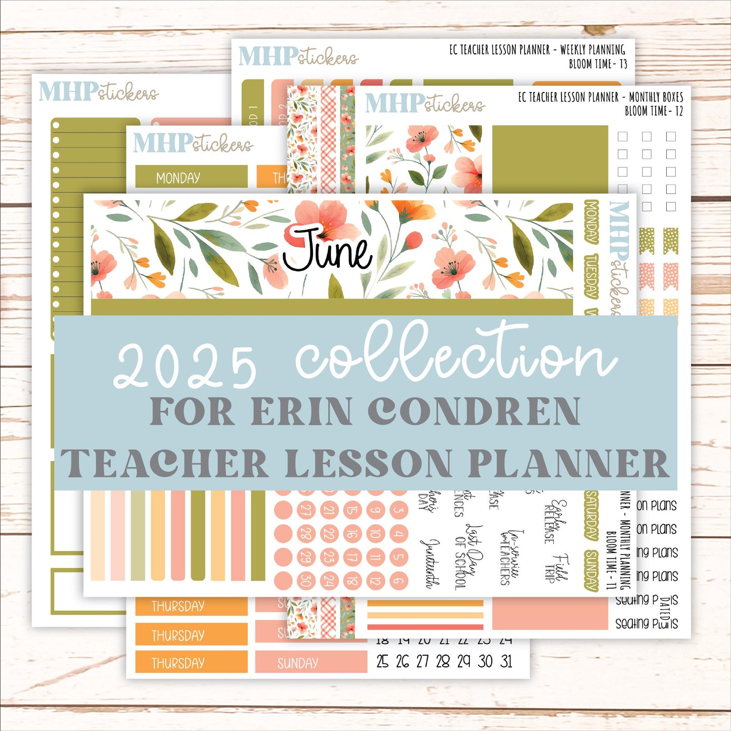 JUNE Stickers for EC Teacher Lesson Planner. 2025 Collection "Bloom Time" || ECT