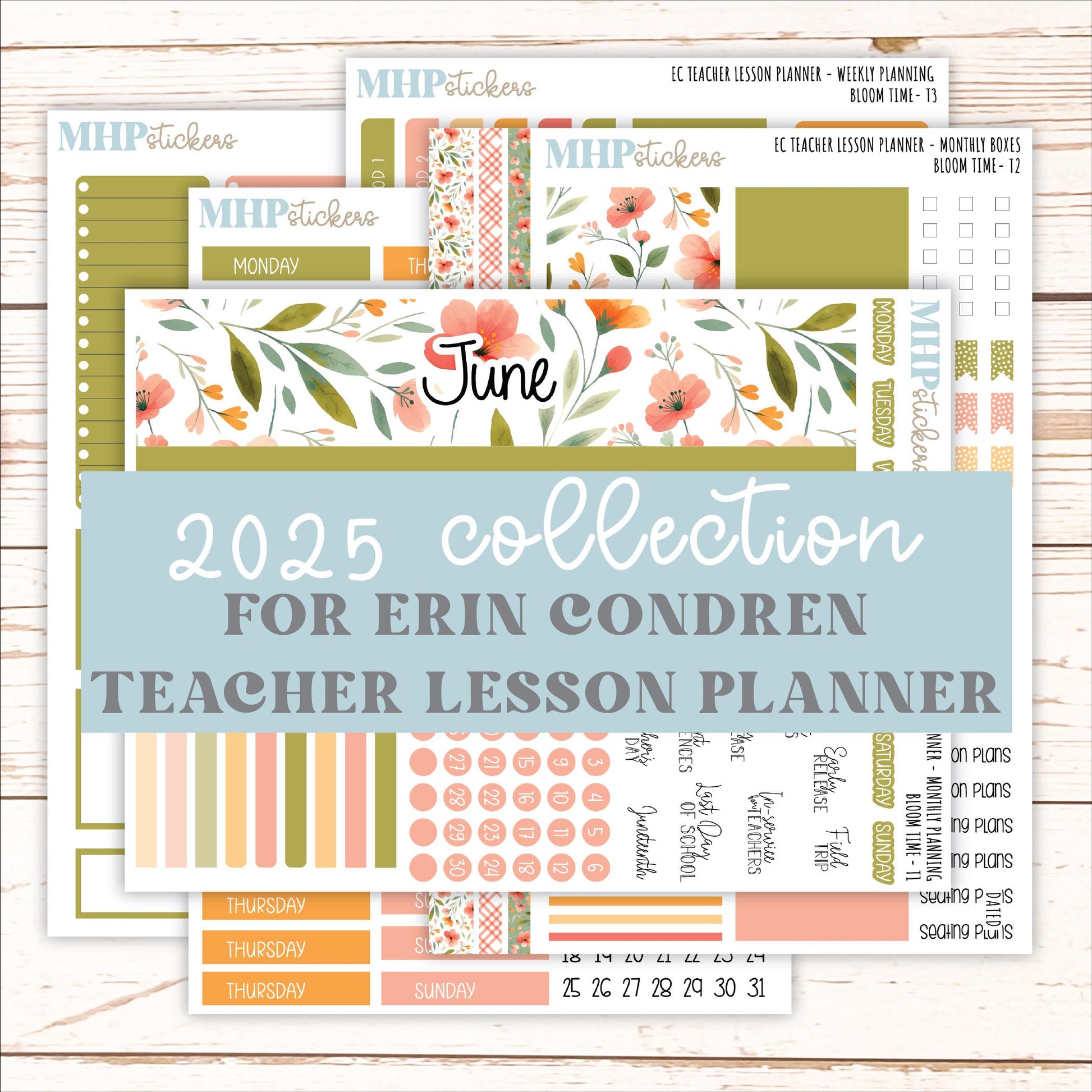 JUNE Stickers for EC Teacher Lesson Planner. 2025 Collection "Bloom Time" || ECT