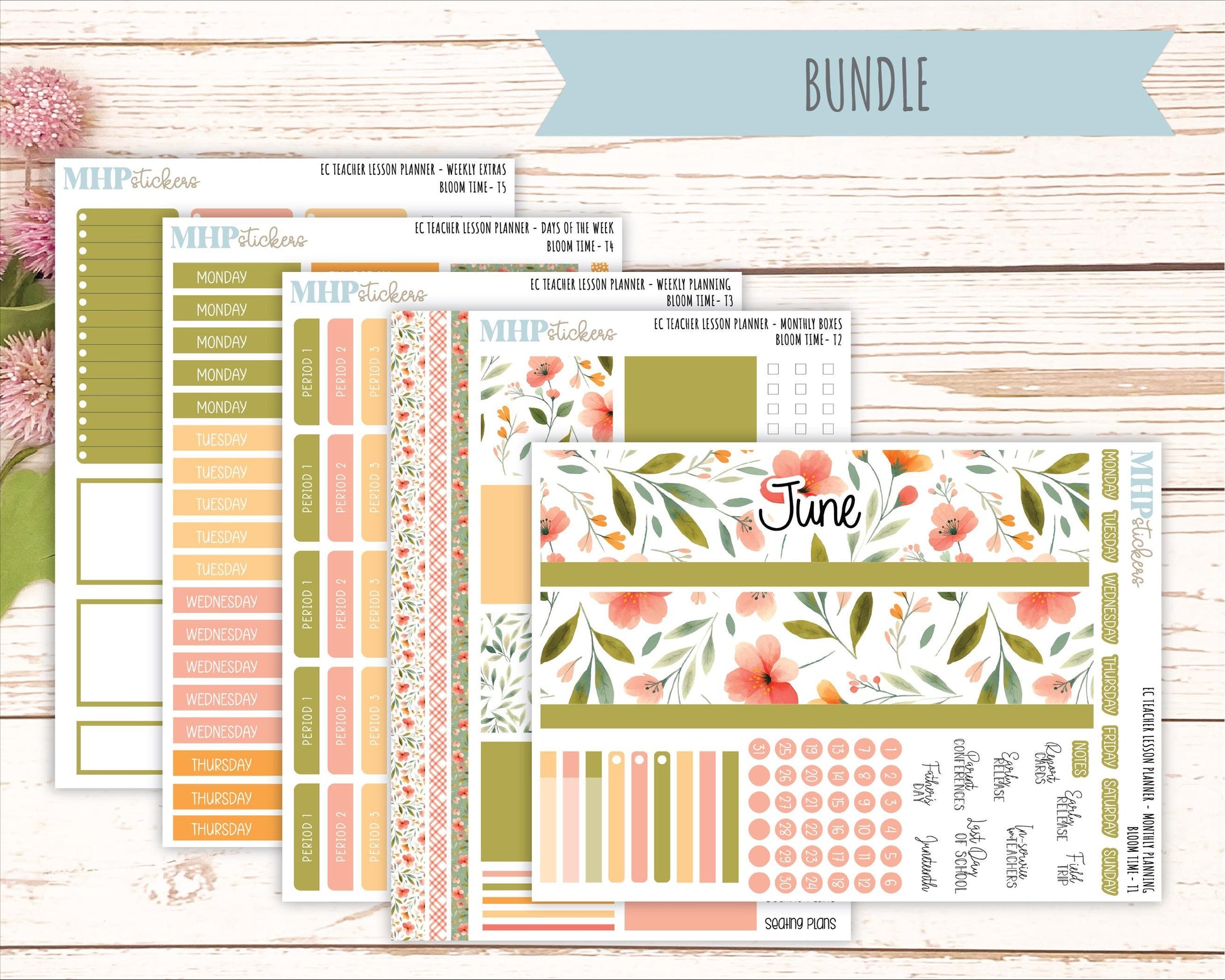 JUNE Stickers for EC Teacher Lesson Planner. 2025 Collection "Bloom Time" || ECT