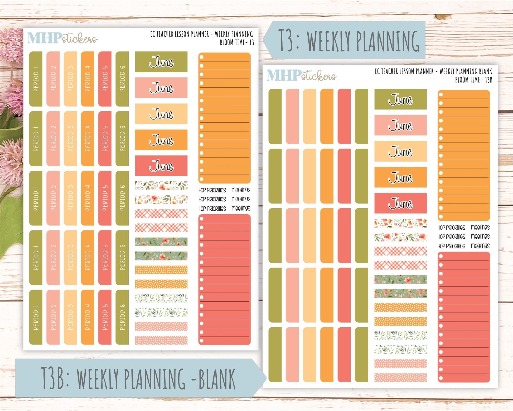 JUNE Stickers for EC Teacher Lesson Planner. 2025 Collection "Bloom Time" || ECT