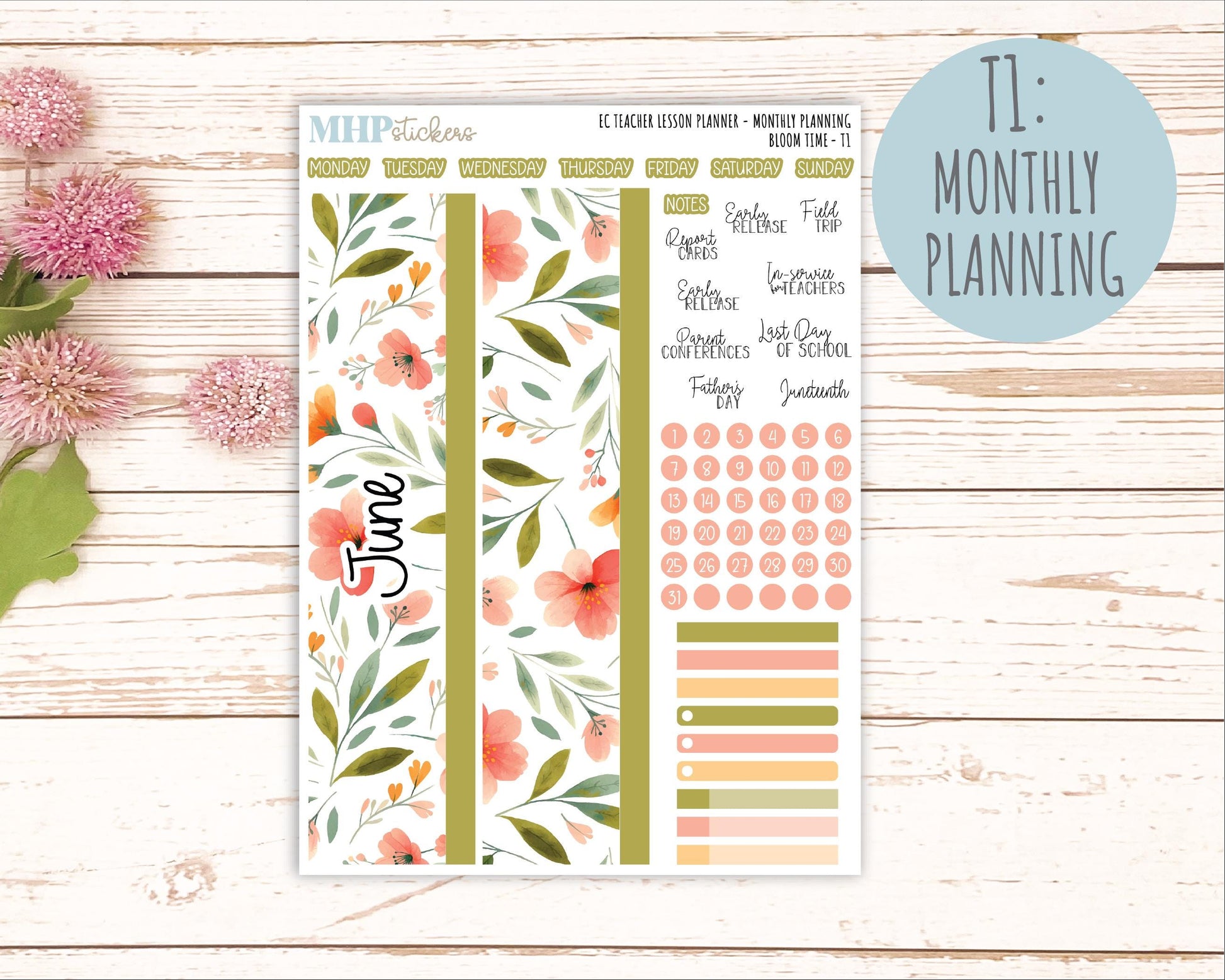 JUNE Stickers for EC Teacher Lesson Planner. 2025 Collection "Bloom Time" || ECT