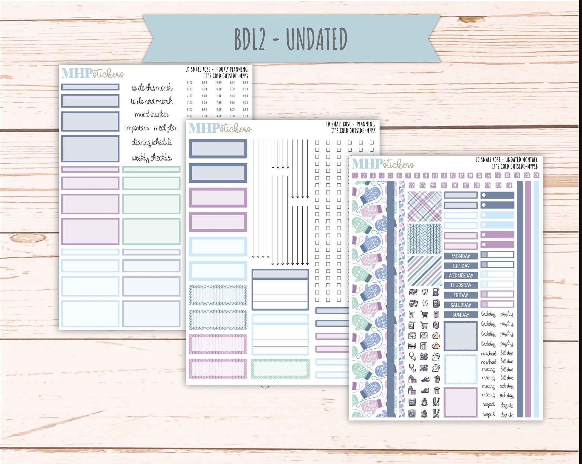 JANUARY 2026 Stickers for The Small Rose Laurel Denise Planner (Formerly Mini Project Planner) "It's Cold Outside" || MPP