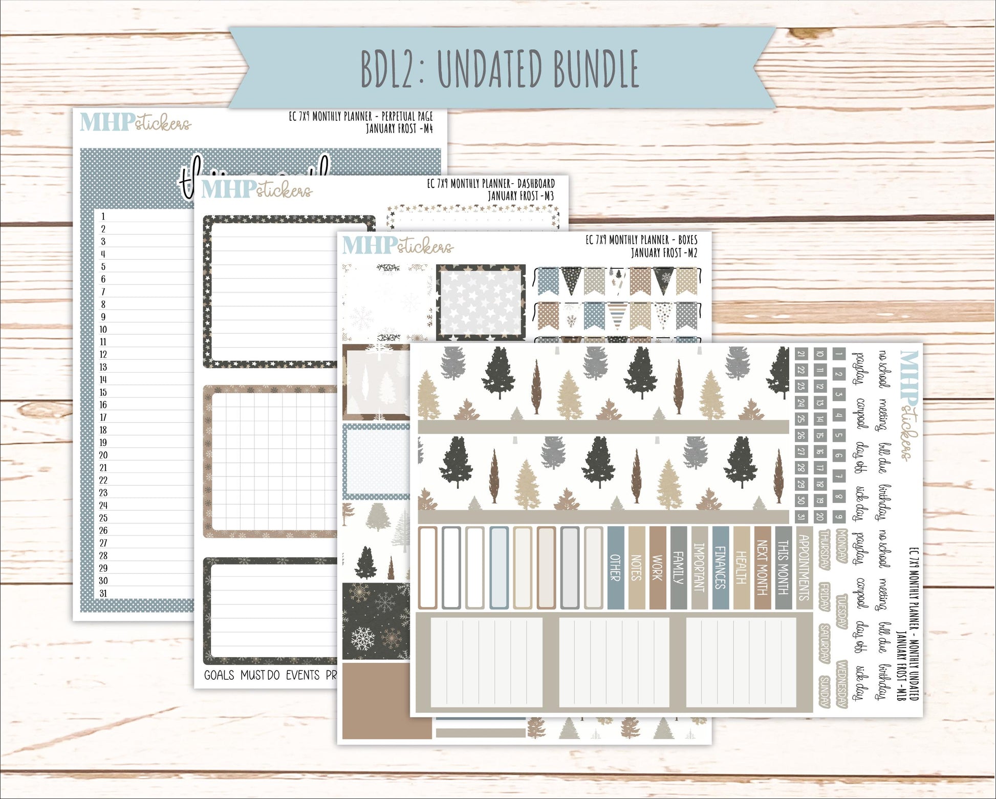 JANUARY Monthly Kit for 7x9 Erin Condren Planners. 2026 Collection "January Frost" || ECM