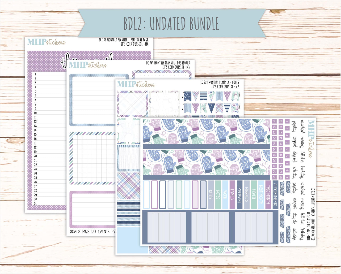 JANUARY Monthly Kit for 7x9 Erin Condren Planners. 2026 Collection "it's Cold outside" || ECM