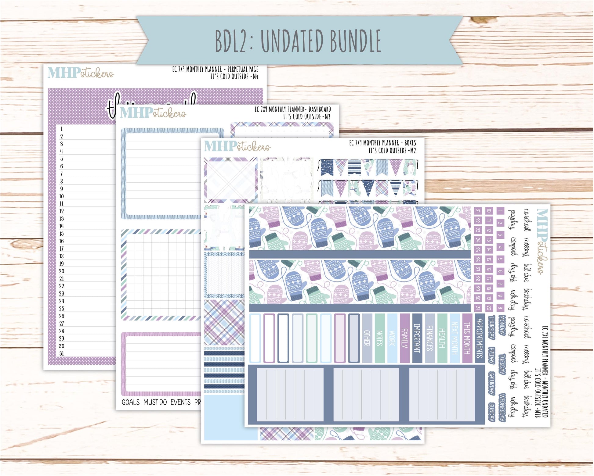 JANUARY Monthly Kit for 7x9 Erin Condren Planners. 2026 Collection "it's Cold outside" || ECM
