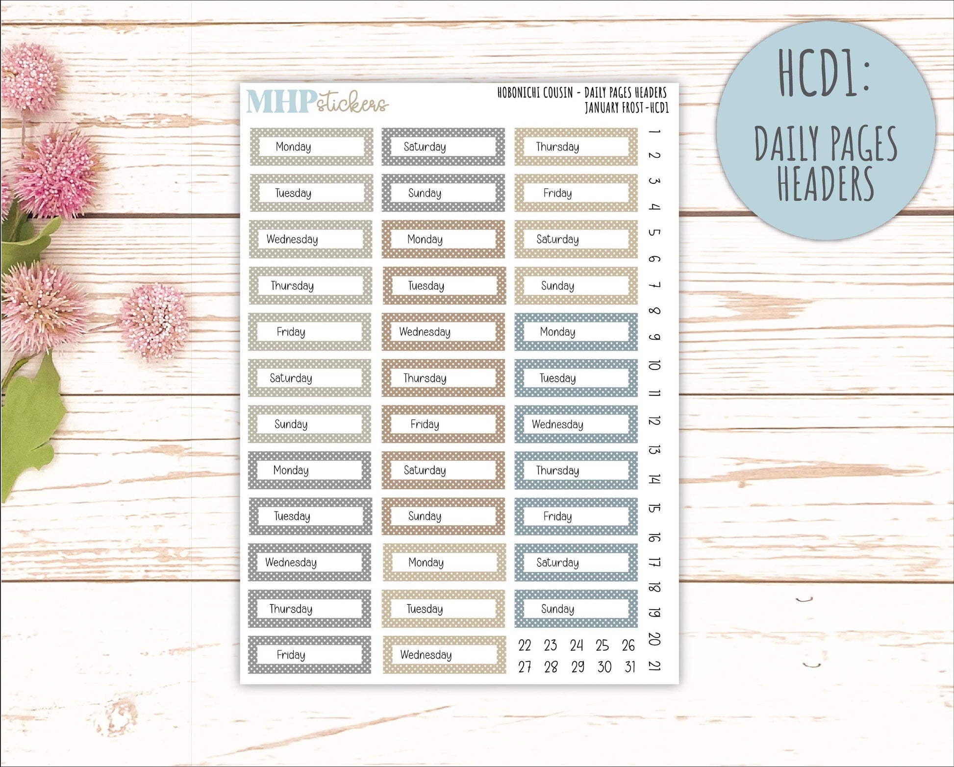 JANUARY 2026 Stickers for Hobonichi Cousin. A5 Planners "January Frost" || HCFC