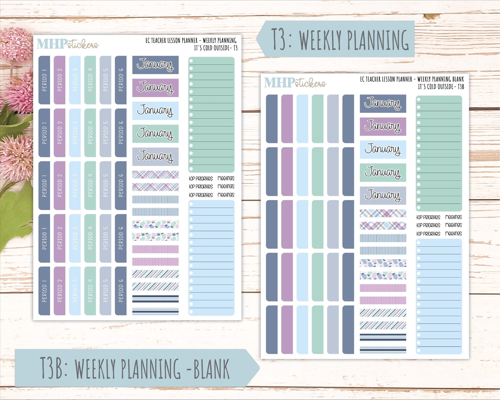 JANUARY Stickers for EC Teacher Lesson Planner. 2025 Collection "It's Cold Outside" || ECT