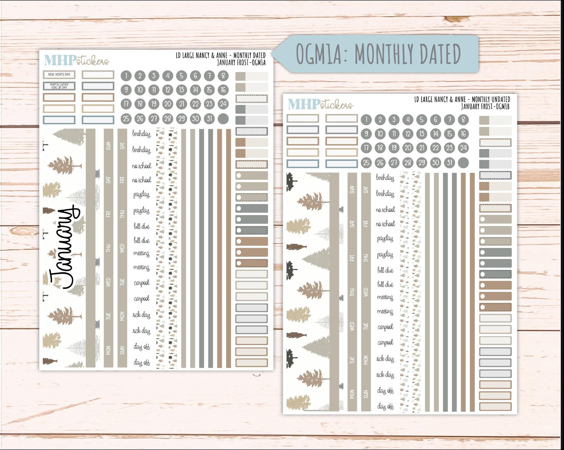 JANUARY 2026 Stickers for Large Nancy & Anne Planners (Formerly Original Size). For Laurel Denise Planners. "January Frost" || OG