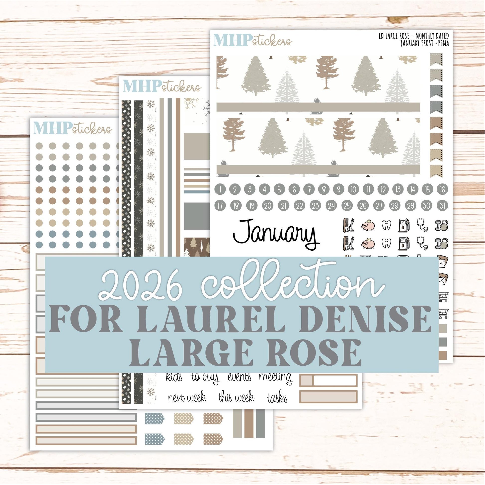 JANUARY 2026 Stickers for the Large Rose Planner (Formerly Project Planner). Laurel Denise. "January Frost" || PP