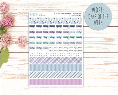 JANUARY Weekly Dashboard Kit for 7x9 Erin Condren Planners. 2026 Collection "It's Cold Outside" || ECWDS