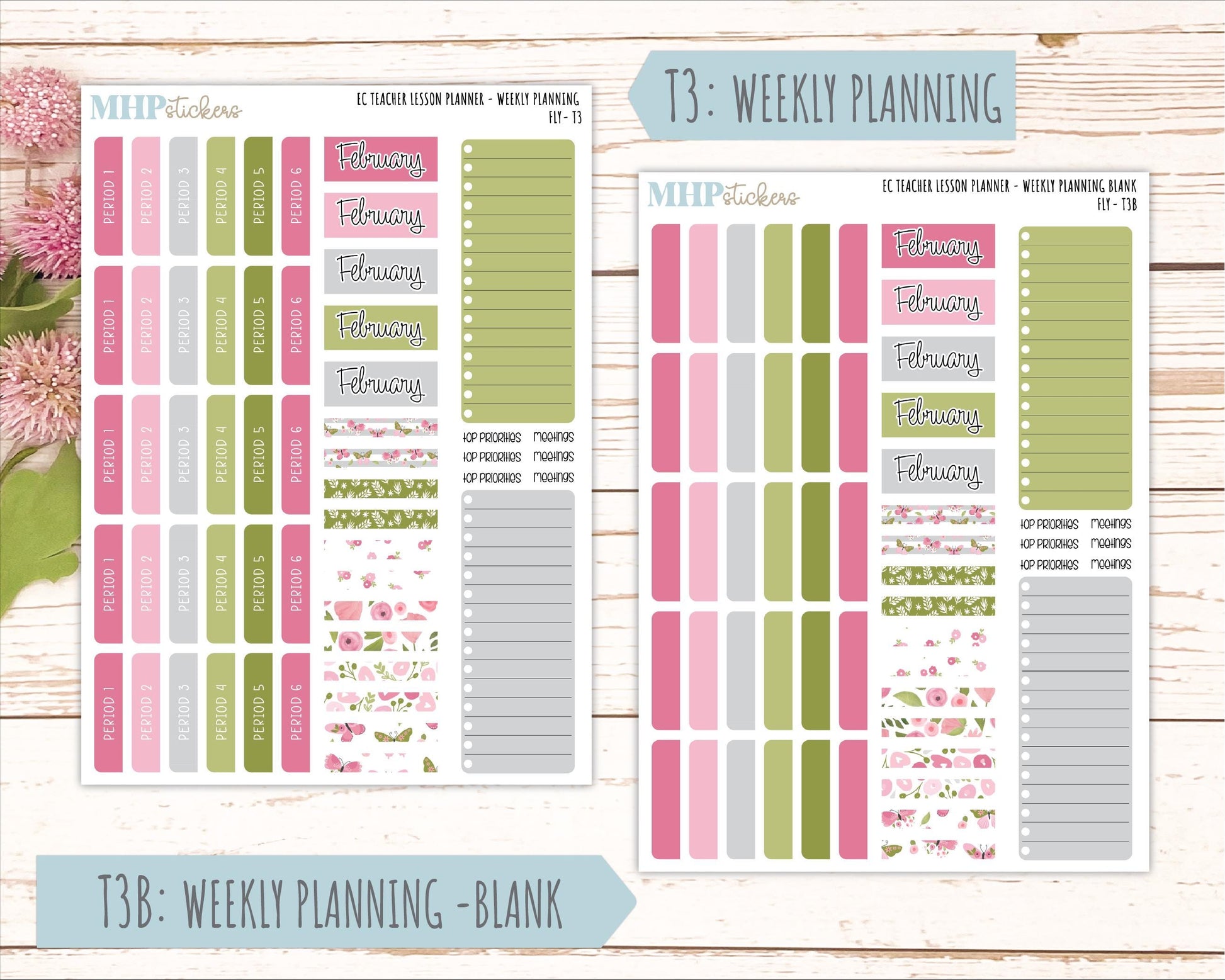 FEBRUARY Stickers for EC Teacher Lesson Planner. 2025 Collection "Fly" || ECT