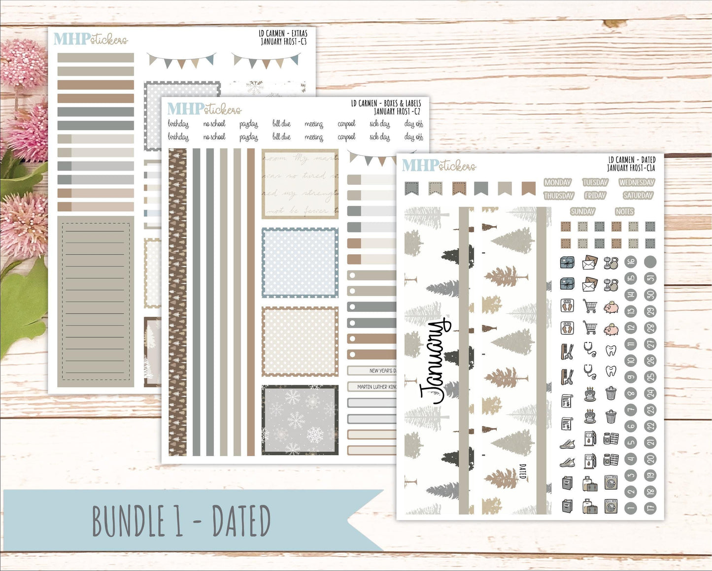 JANUARY 2026 Stickers for The Carmen Laurel Denise Planner (Simply Month Planner). "January Frost" || C