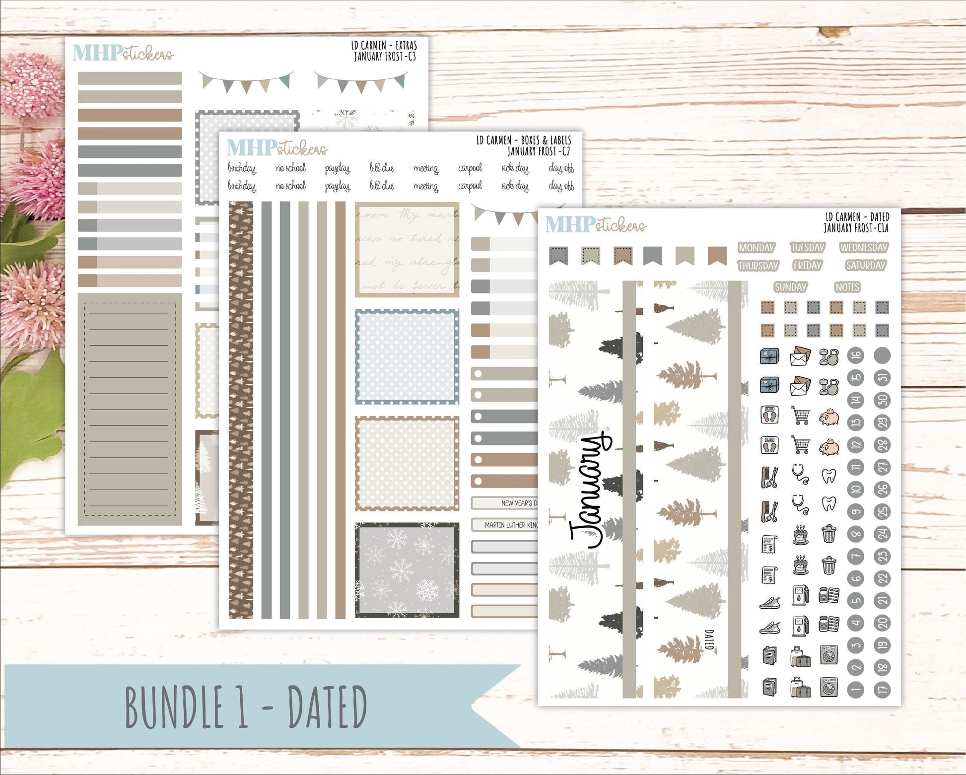 JANUARY 2026 Stickers for The Carmen Laurel Denise Planner (Simply Month Planner). "January Frost" || C