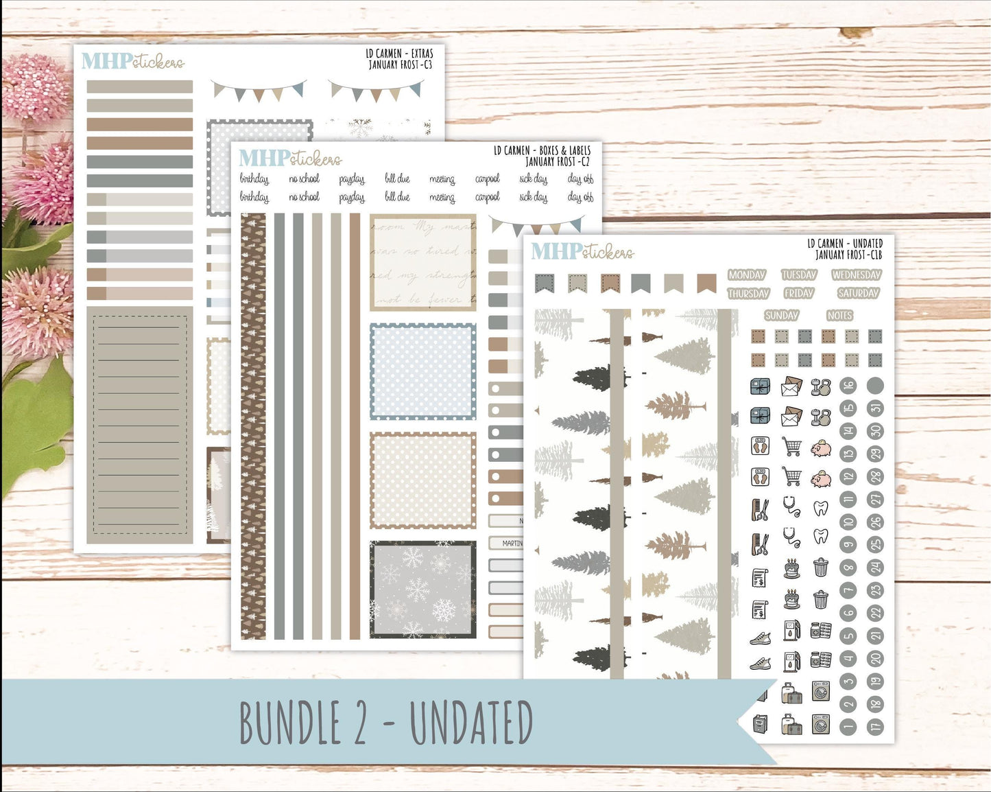 JANUARY 2026 Stickers for The Carmen Laurel Denise Planner (Simply Month Planner). "January Frost" || C